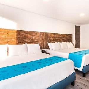 Comfort Quadruple Room