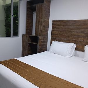 Large Single Room